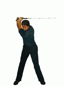 �S���t��B�@�̃X�C���O