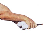 �S���t��B�@�S���t�X�C���O�A���ʐ^