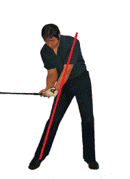 �S���t��B�@�S���t�X�C���O�A���ʐ^