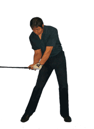 �S���t��B�@�S���t�X�C���O�A���ʐ^