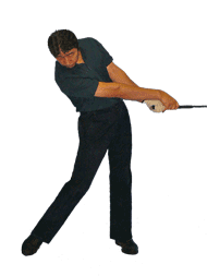 �S���t��B�@�S���t�X�C���O�A���ʐ^