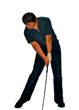 �S���t��B�@�S���t�X�C���O�A���ʐ^